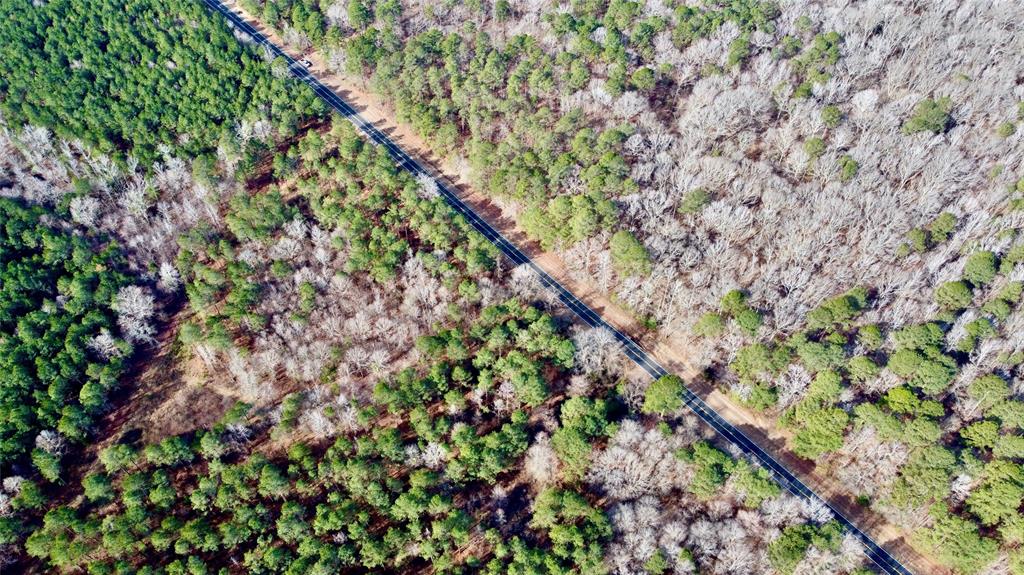 0 Old Plain Dealing Road Property Photo 7