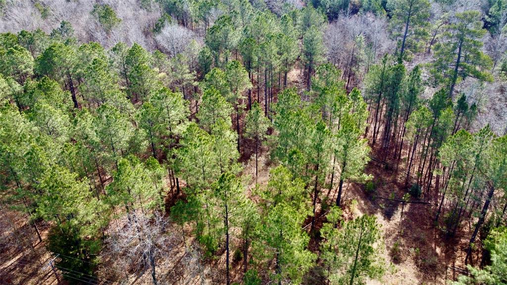0 Old Plain Dealing Road Property Photo 8