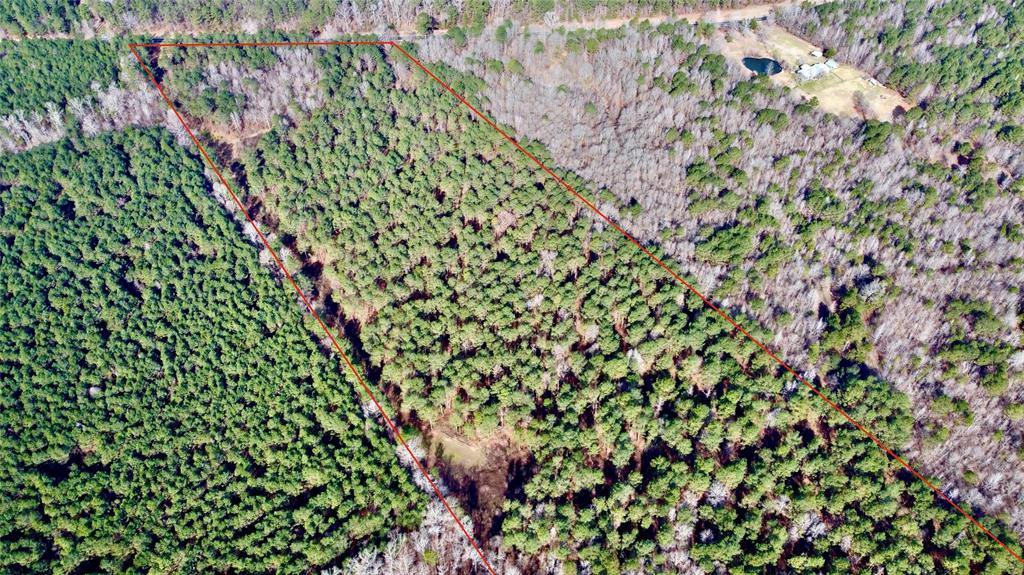 0 Old Plain Dealing Road Property Photo 9