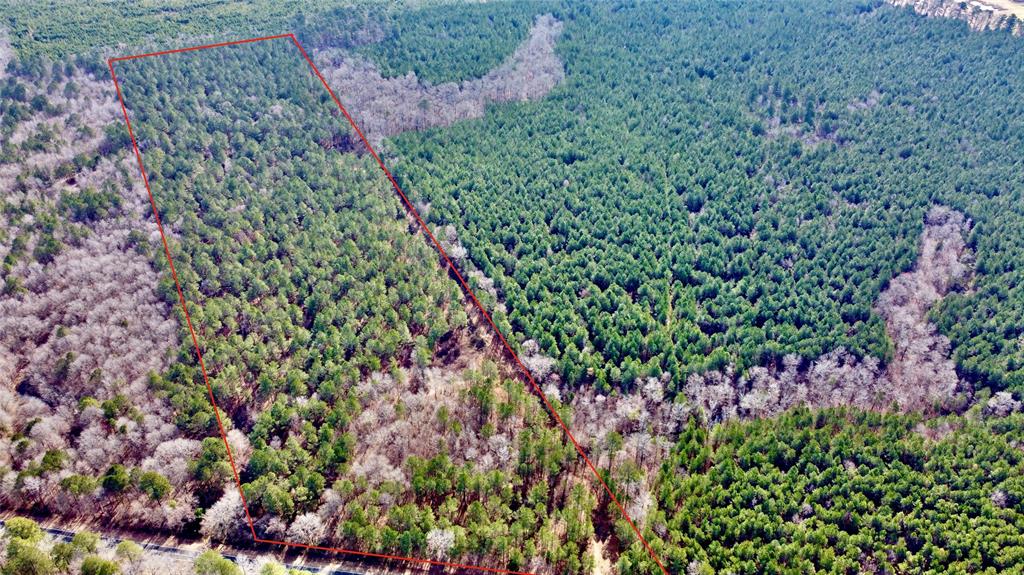 0 Old Plain Dealing Road Property Photo 10