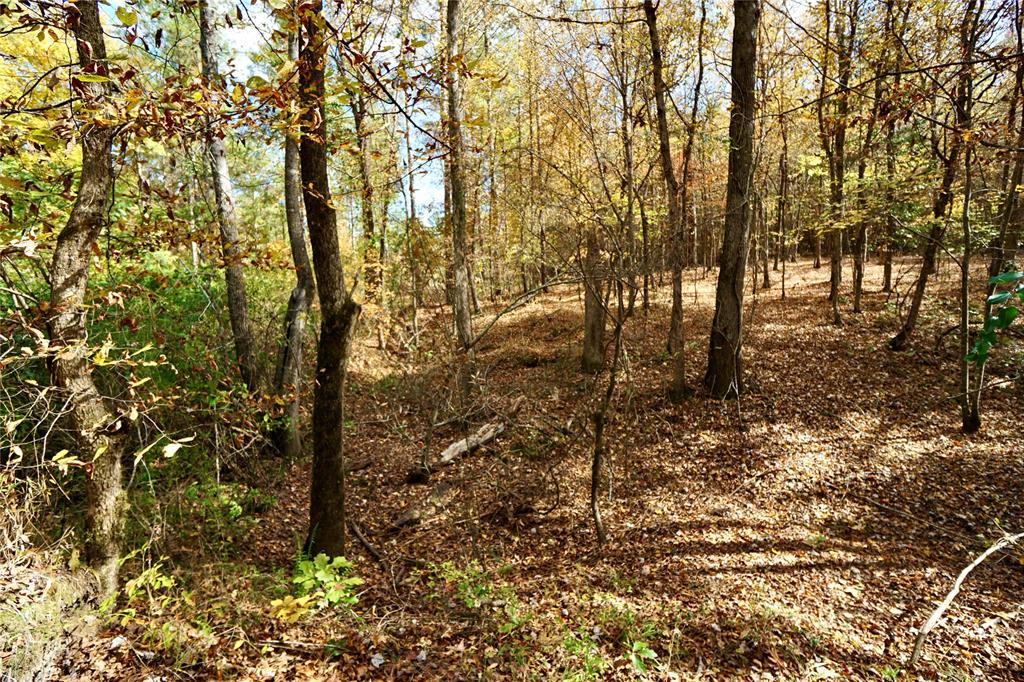 0 Old Plain Dealing Road Property Photo 16