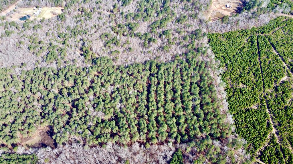 0 Old Plain Dealing Road Property Photo 18