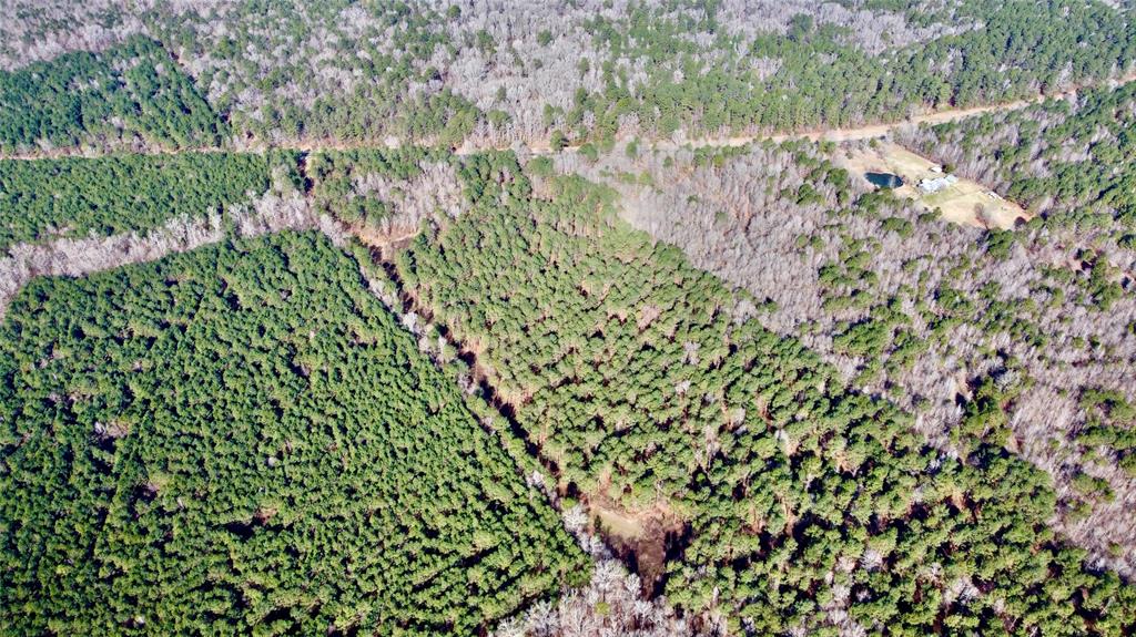 0 Old Plain Dealing Road Property Photo 20