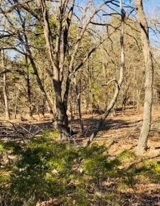 8000 County Road 301 Property Photo 1