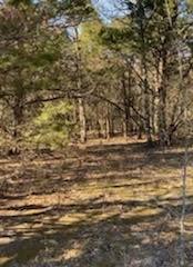 8000 County Road 301 Property Photo 4