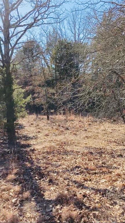 8000 County Road 301 Property Photo 5