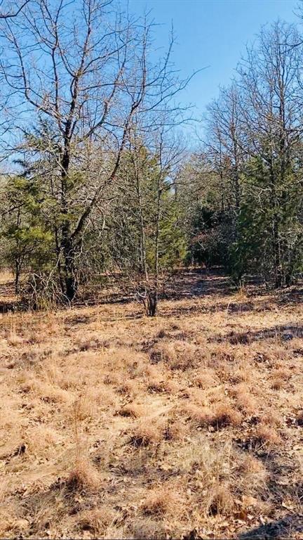 8000 County Road 301 Property Photo 6