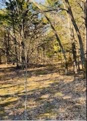 8000 County Road 301 Property Photo 10