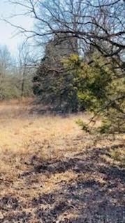 8000 County Road 301 Property Photo 12
