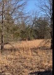 8000 County Road 301 Property Photo 13
