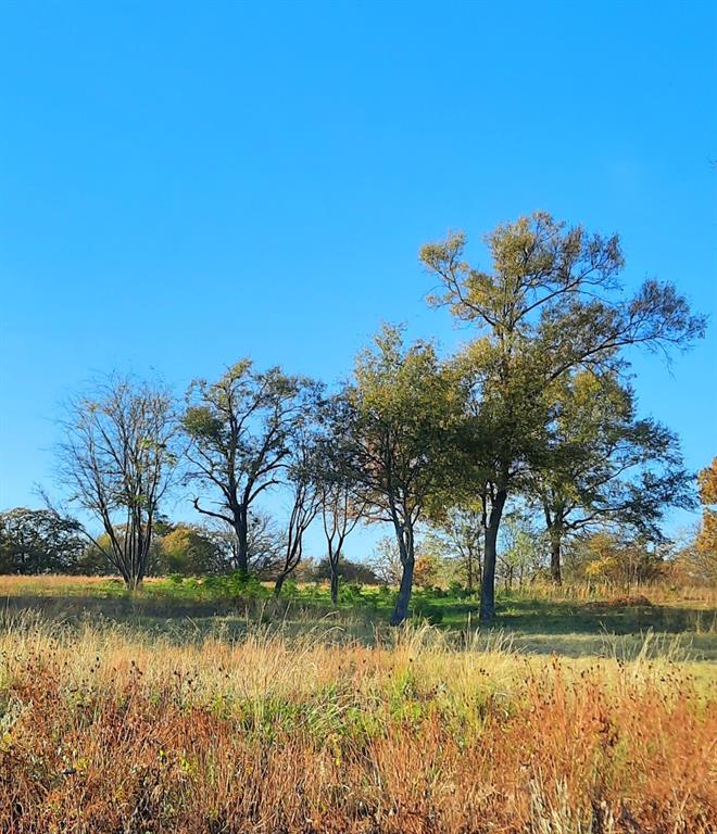 Lot 1 Rs County Road 3328 Property Photo 17