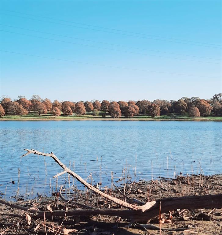 Lot 3 Rs County Road 3328 Property Photo 8