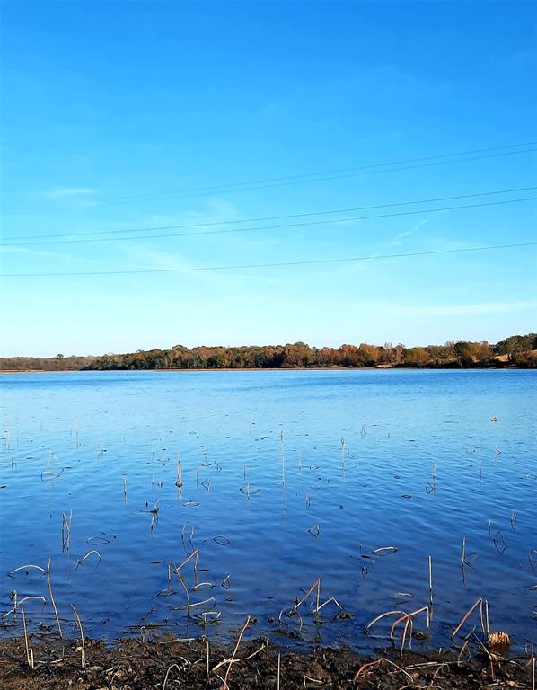 Lot 3 Rs County Road 3328 Property Photo 19