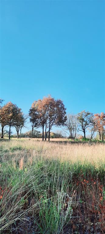 Lot 3 Rs County Road 3328 Property Photo 20