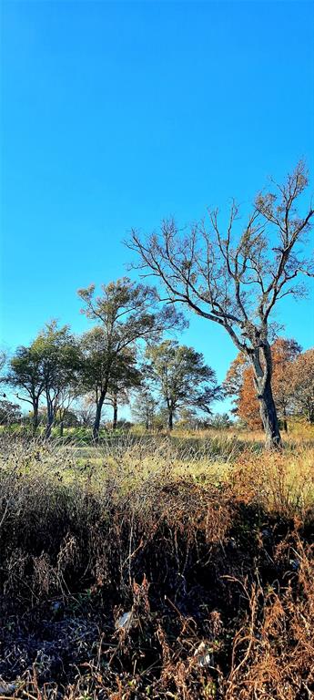 Lot 4 Rs County Road 3328 Property Photo 15