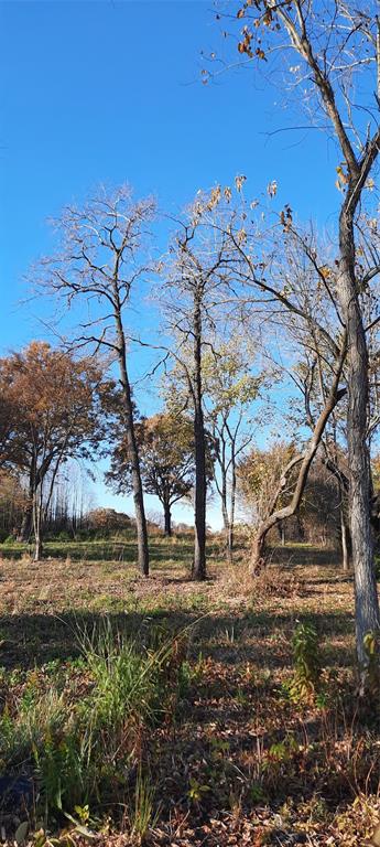 Lot 8 Rs County Road 3328 Property Photo 23