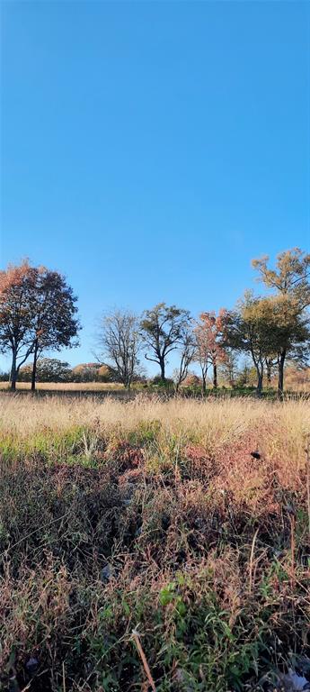 Lot 8 Rs County Road 3328 Property Photo 28