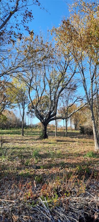 Lot 8 Rs County Road 3328 Property Photo 36