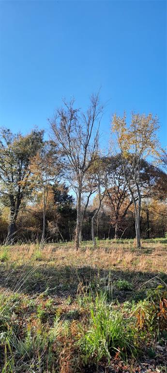 Lot 8 Rs County Road 3328 Property Photo 37