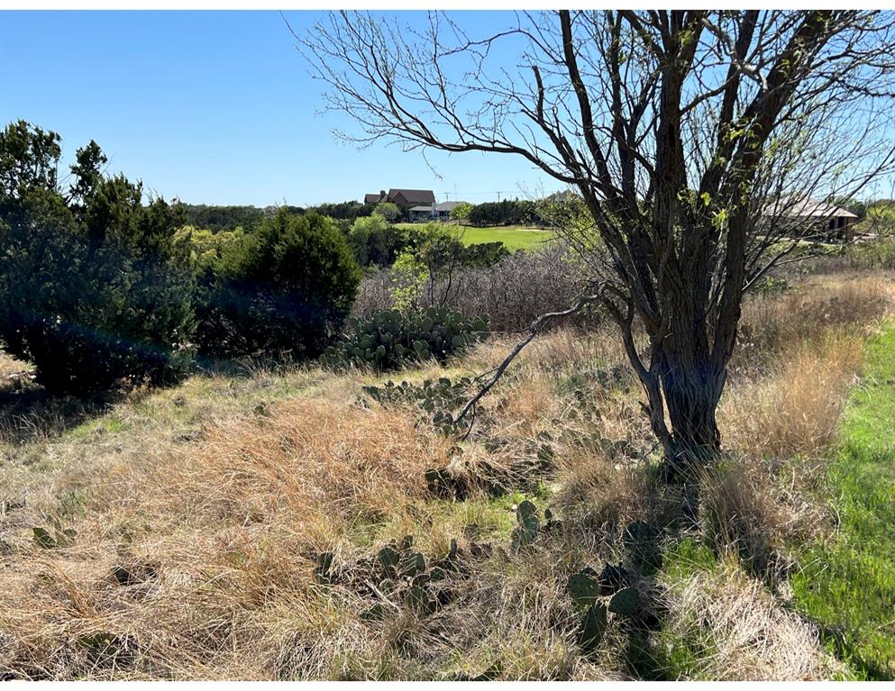 Lot 105 Oak Tree Drive Property Photo 10