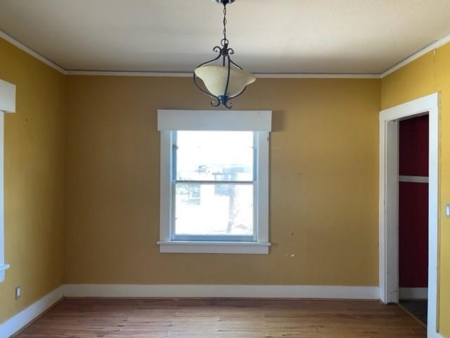 1002 Josephine Street Property Photo 3