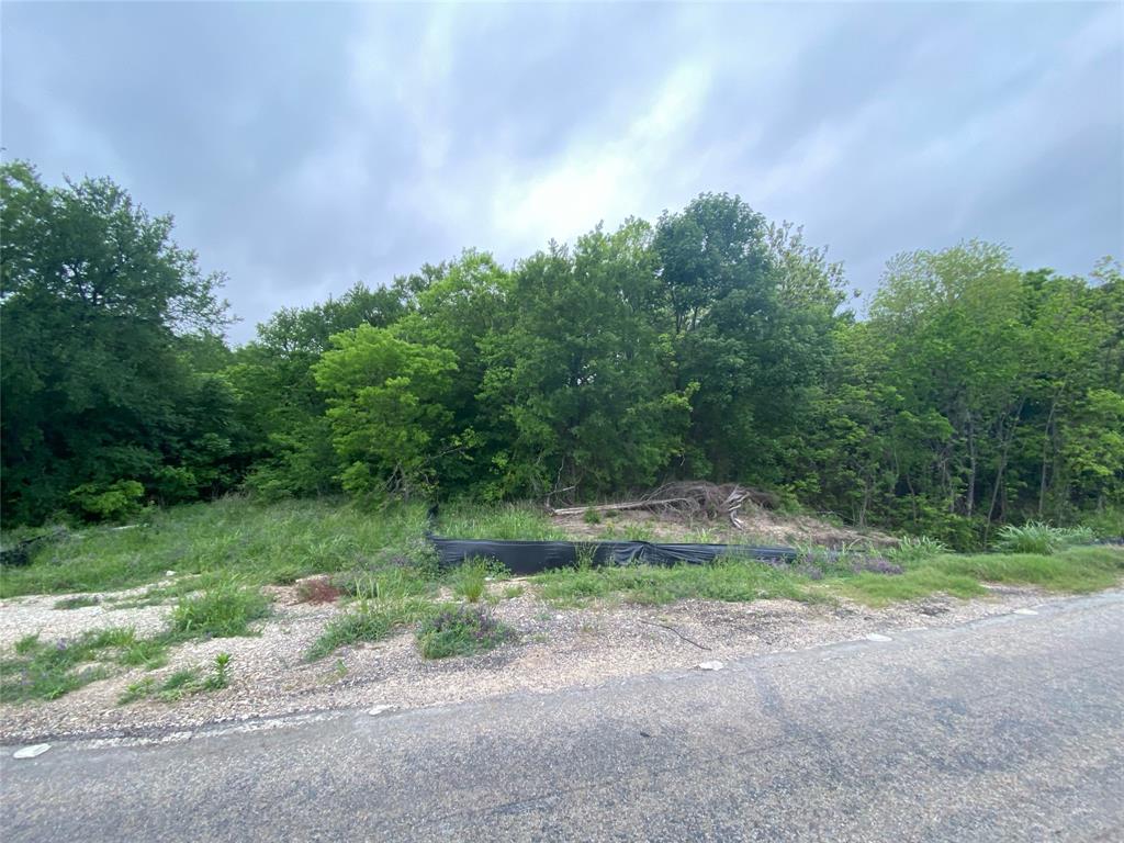 0000 Hwy 75 Property Photo 1