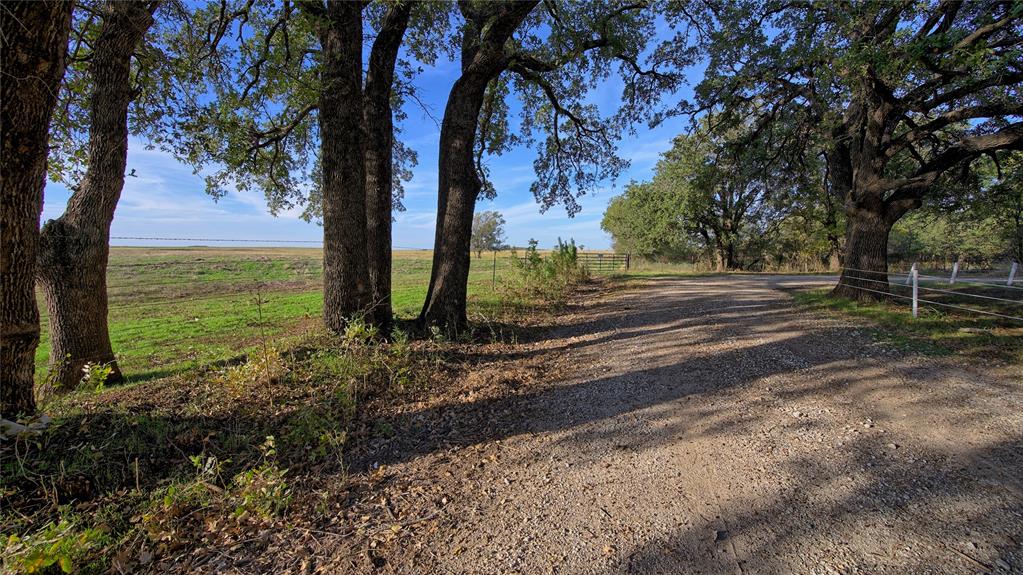 Tbd White Priddy Road Property Photo 3