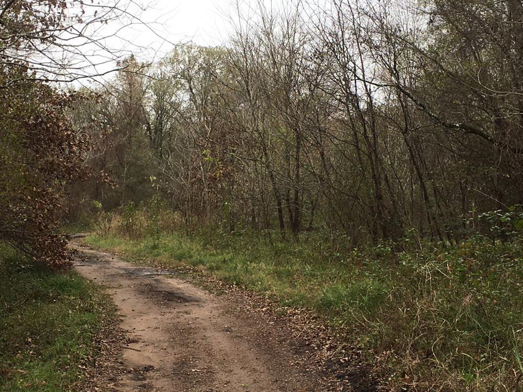 Tbd Big Creek Property Photo 2