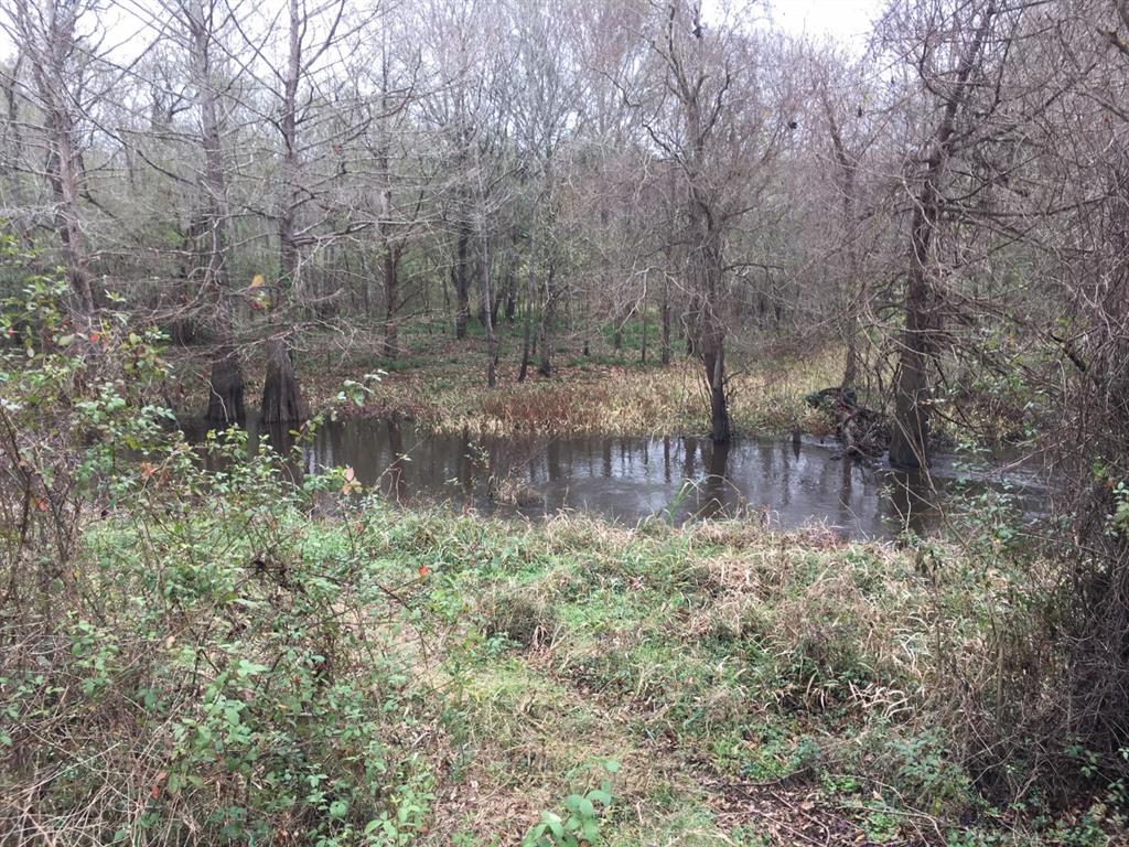 Tbd Big Creek Property Photo 4