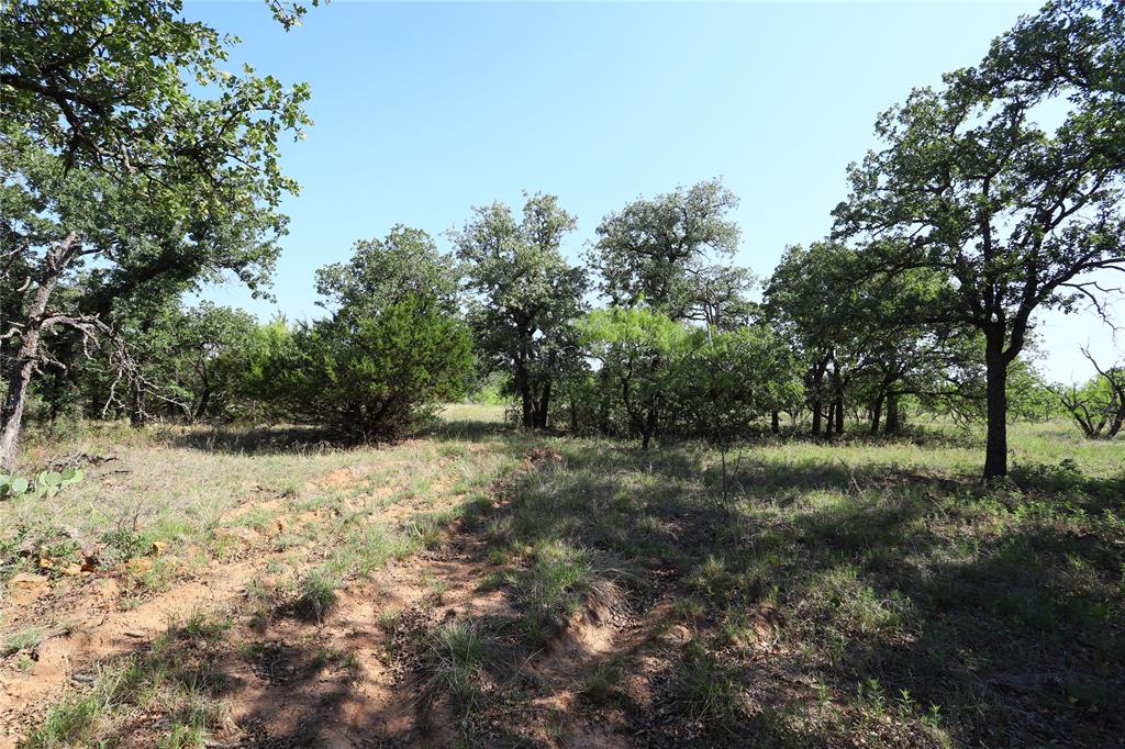 895 Post Oak Road Property Photo 4