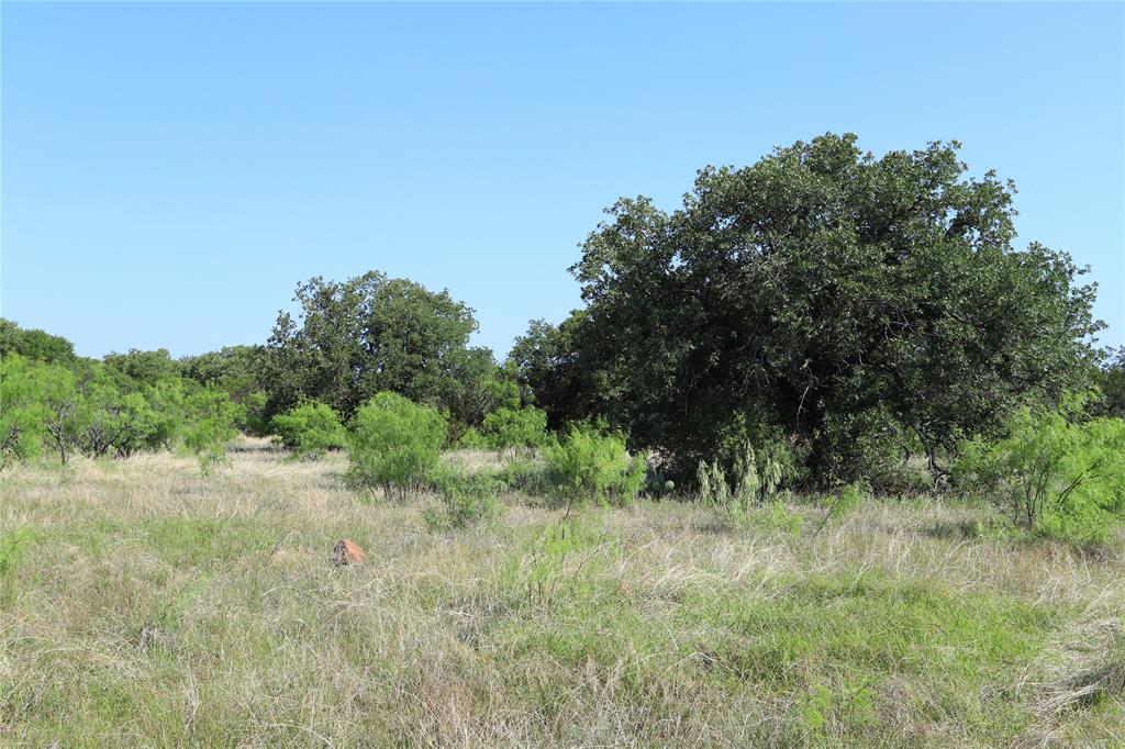895 Post Oak Road Property Photo 5