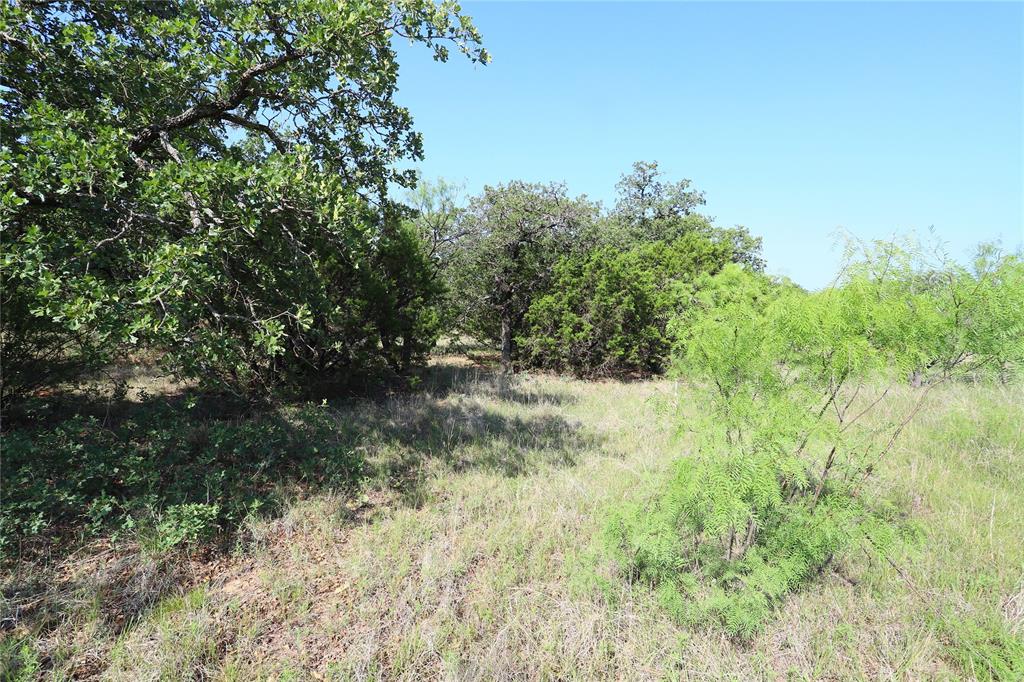 895 Post Oak Road Property Photo 6
