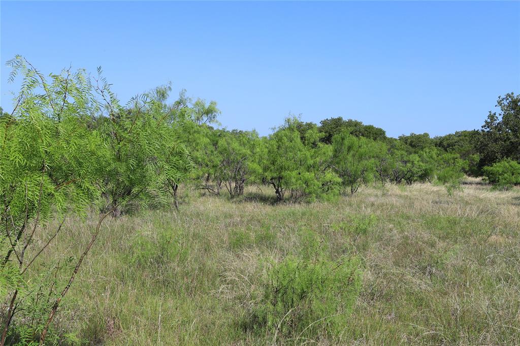895 Post Oak Road Property Photo 7