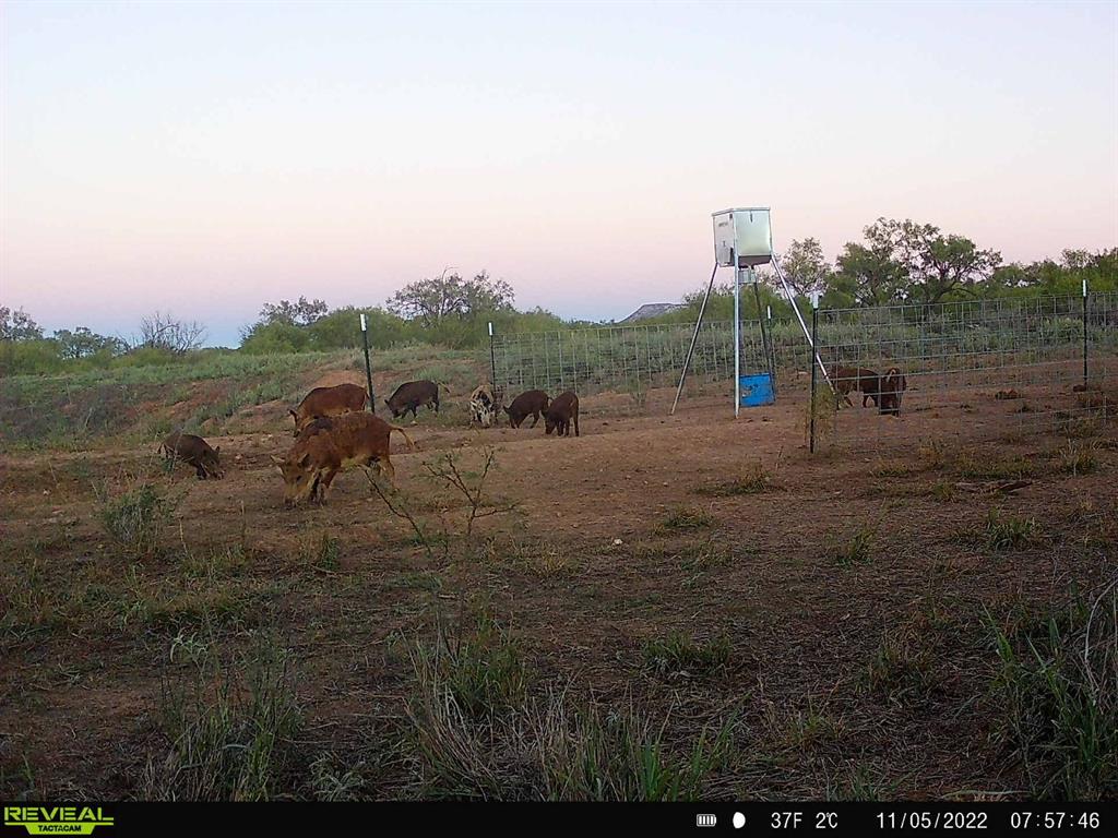 Tbd U S Highway 277 Property Photo 2