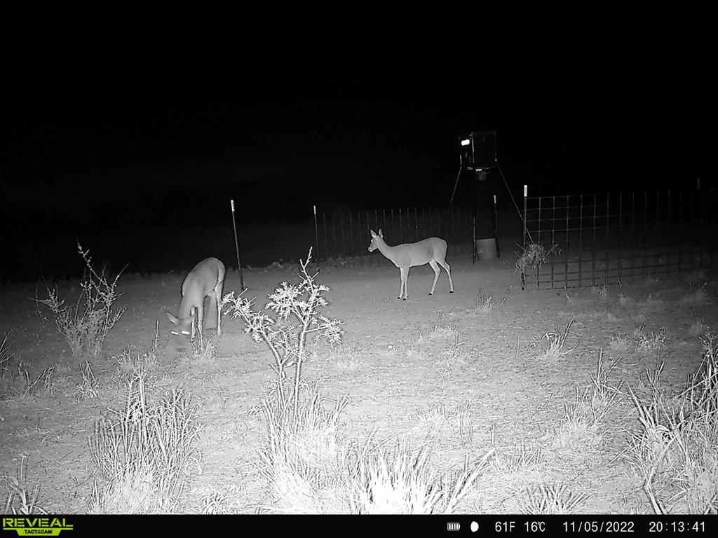Tbd U S Highway 277 Property Photo 3