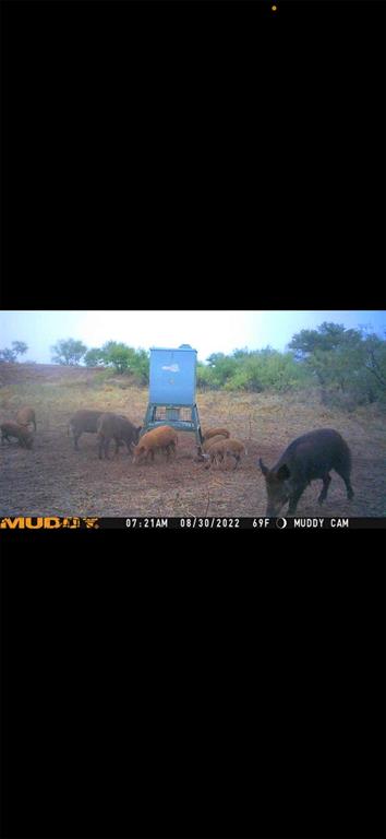 Tbd U S Highway 277 Property Photo 4