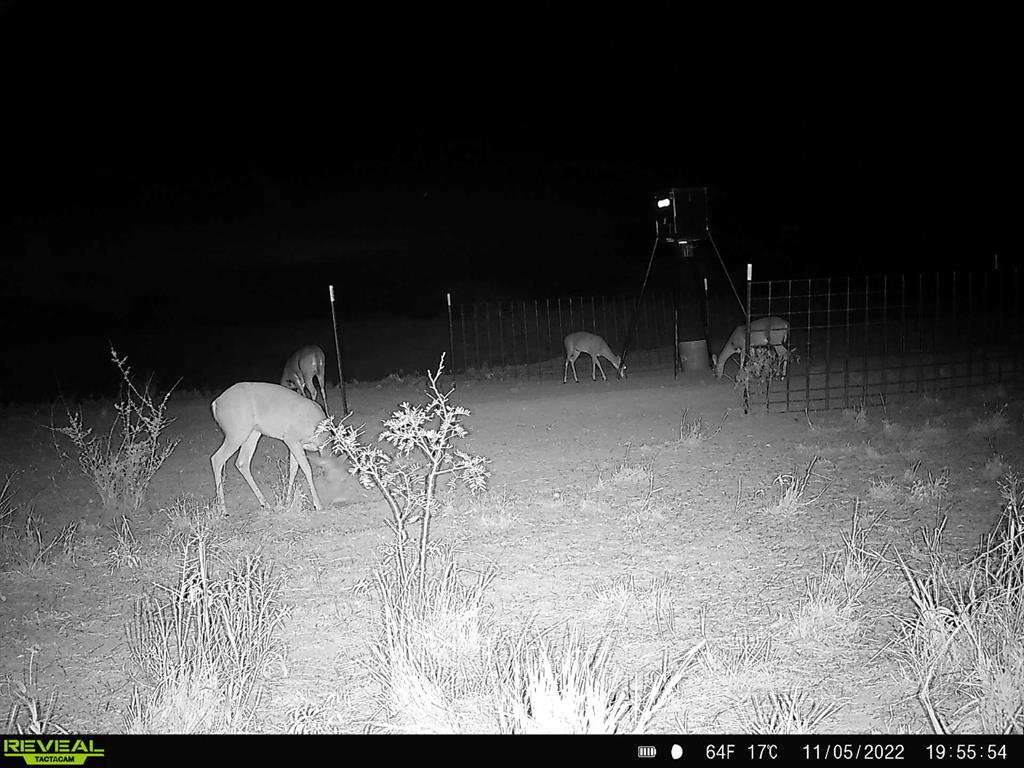 Tbd U S Highway 277 Property Photo 5