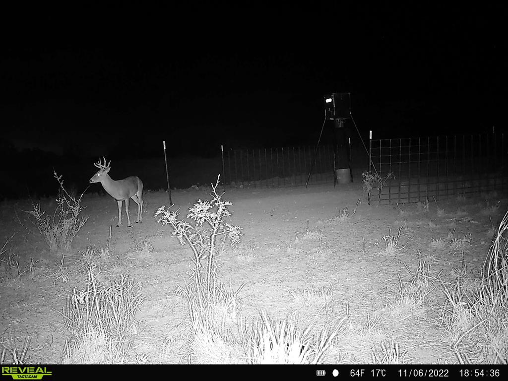 Tbd U S Highway 277 Property Photo 7