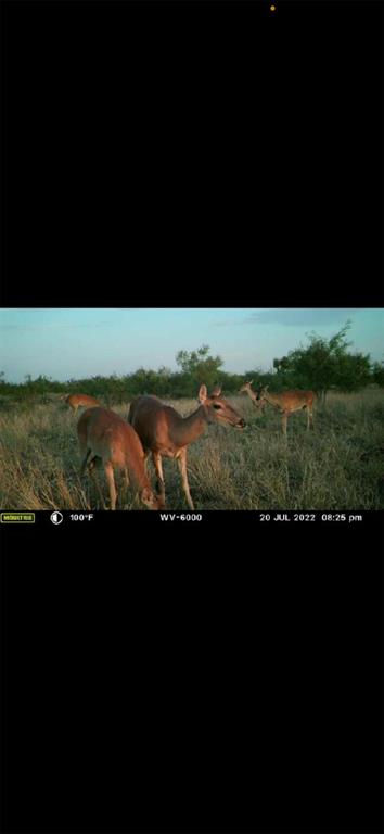 Tbd U S Highway 277 Property Photo 9