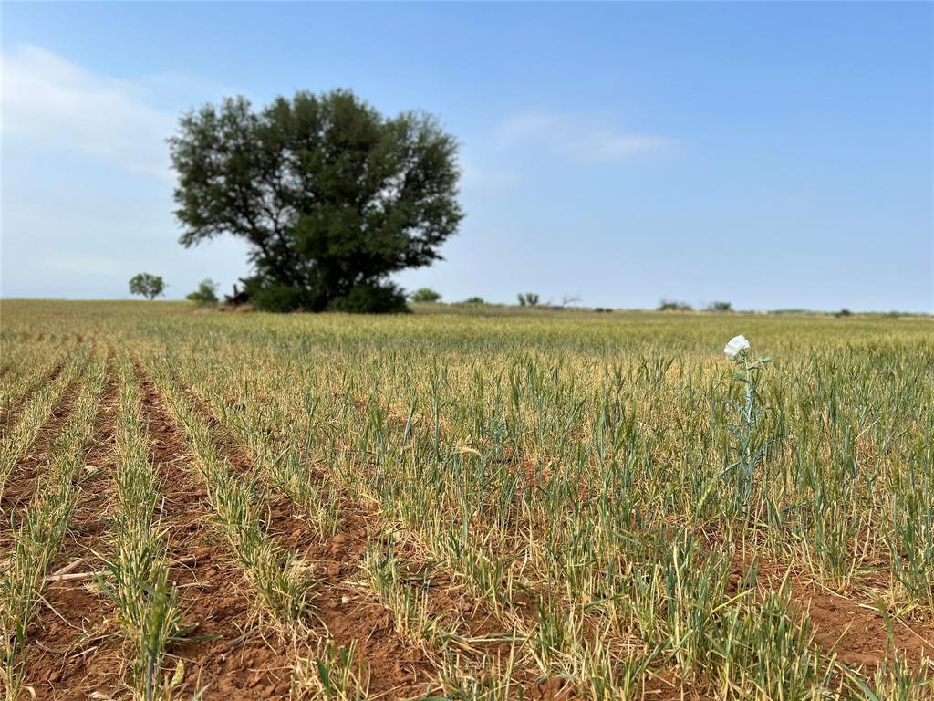 Tbd U S Highway 277 Property Photo 13