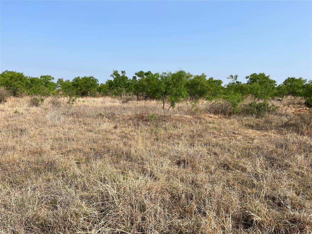 Tbd U S Highway 277 Property Photo 18