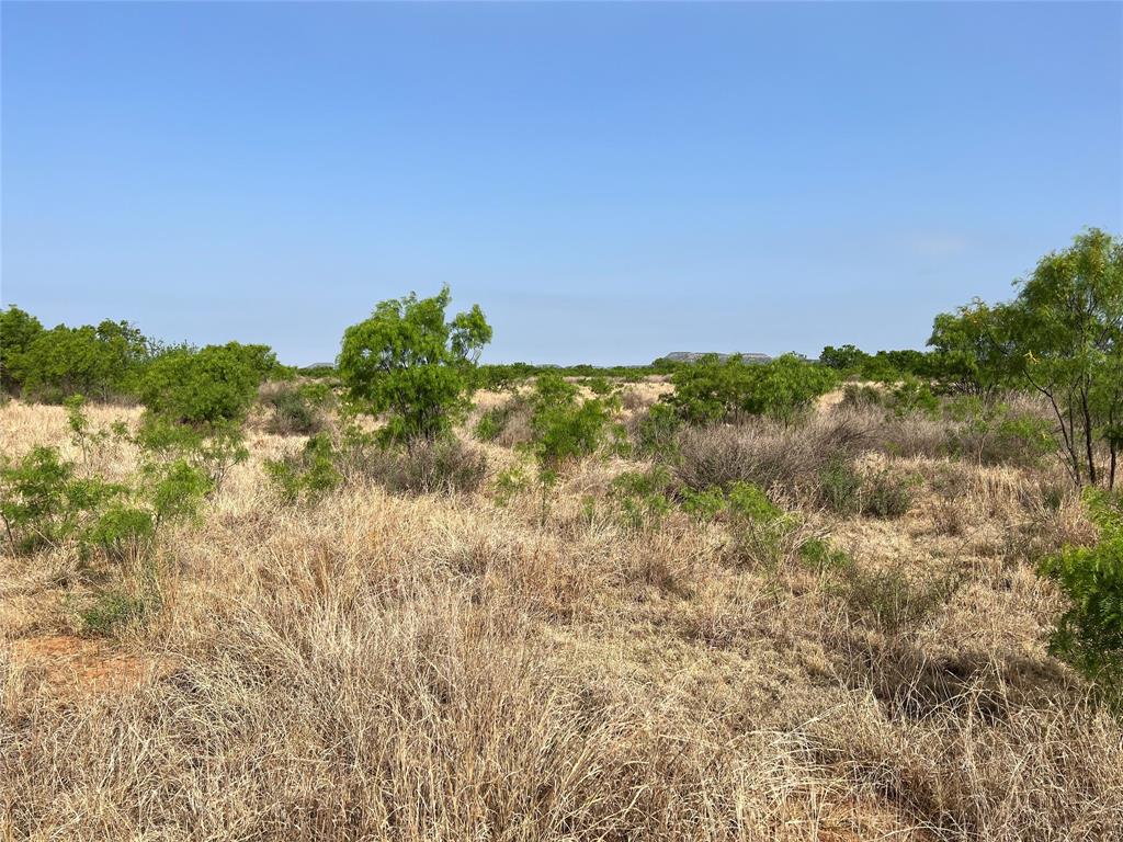 Tbd U S Highway 277 Property Photo 19