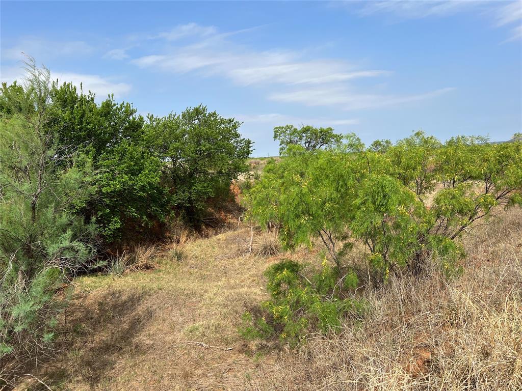 Tbd U S Highway 277 Property Photo 25