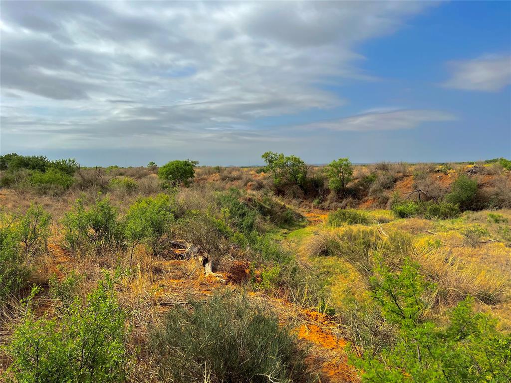 Tbd U S Highway 277 Property Photo 28