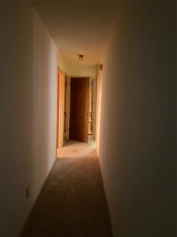 910 N Preston Road Property Photo 11