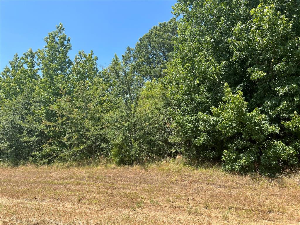 000 Fm 3042 Property Photo 1