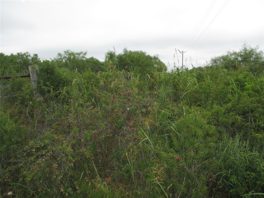 Lot 7 Old Joy Shannon Property Photo 7
