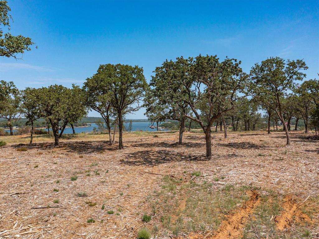 Lot 11 Choate Property Photo 3