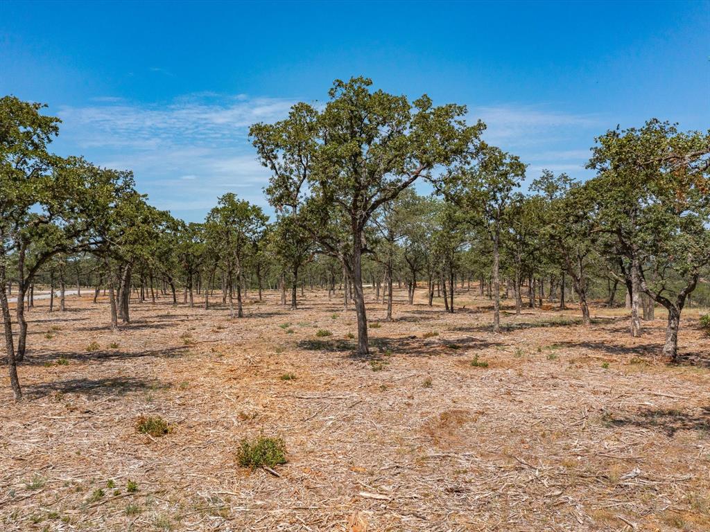 Lot 12 Choate Property Photo 3