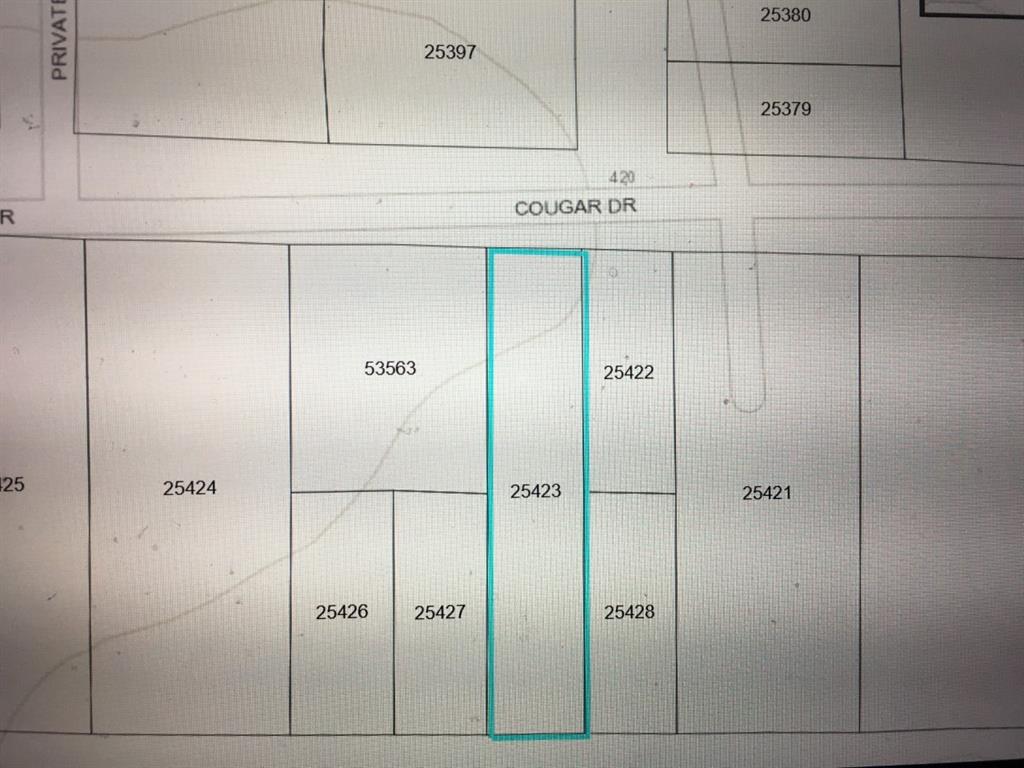 456 Cougar Drive